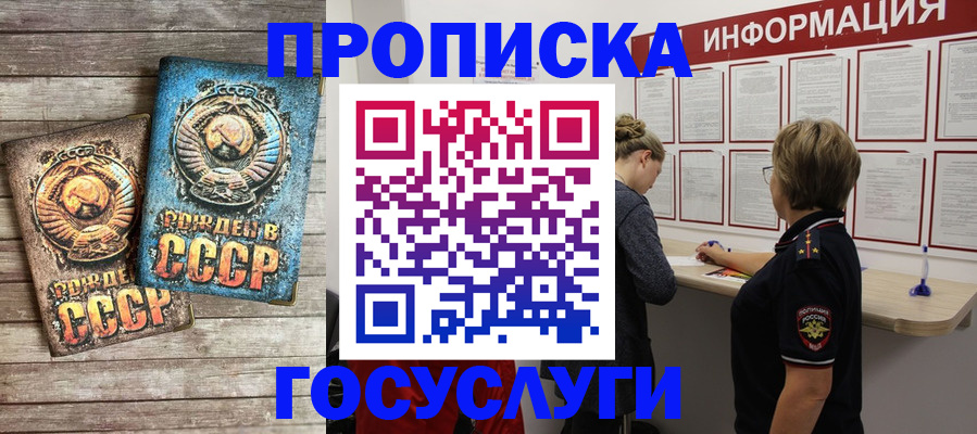 временная регистрация поиск в Жуковке
